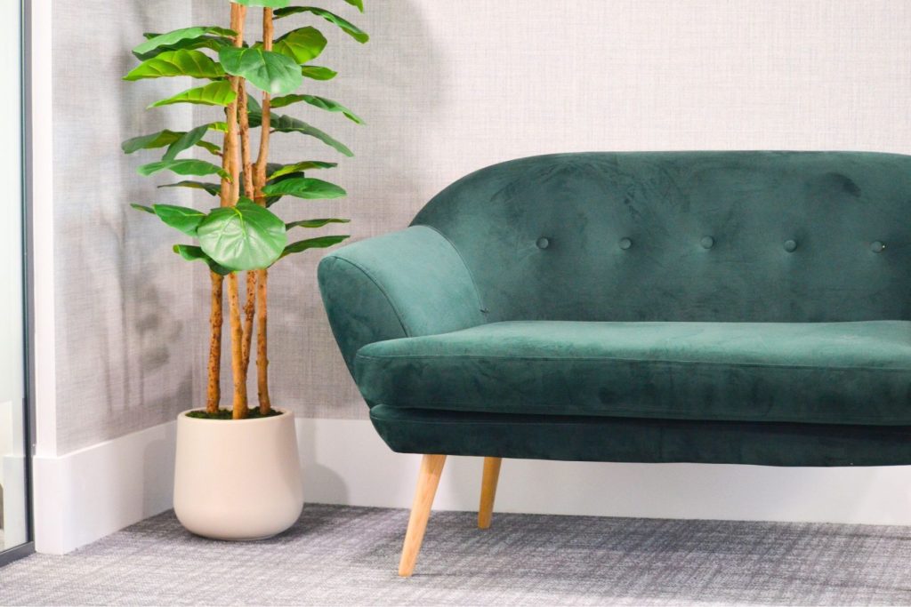 Green velvet sofa with timber legs and indoor plant in contemporary workspace lounge.