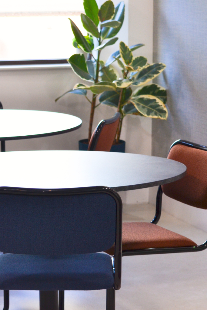 Office breakout seating with round white tables, upholstered chairs and indoor planting.